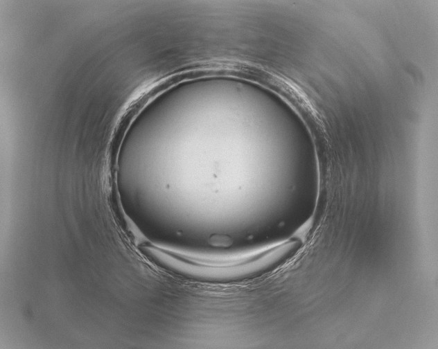 X0000116281172200912141342