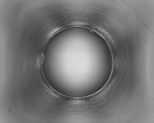 X0000116281177200912141342