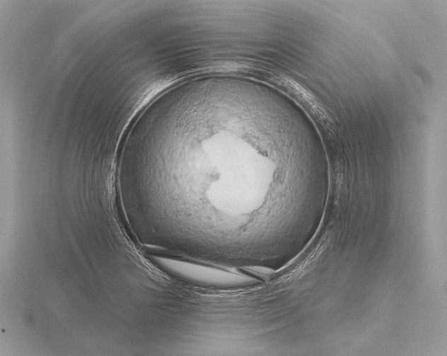 X0000116281178200912141342