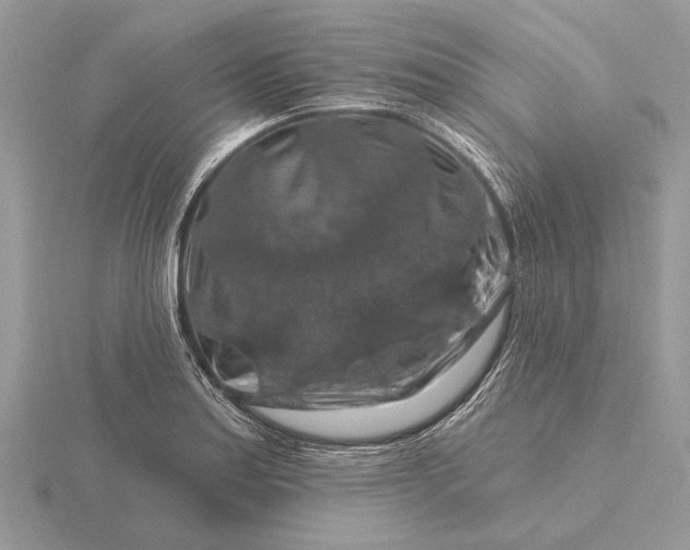 X0000116281179200912141342