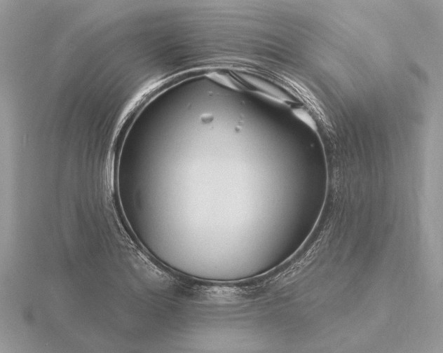 X0000116281180200912141342