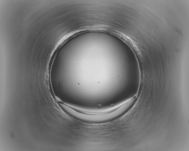 X0000116281184200912141342