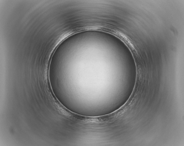 X0000116281186200912141342
