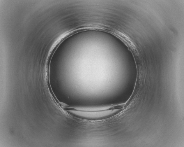 X0000116281188200912141342