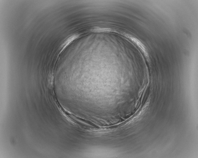 X0000116281193200912141342