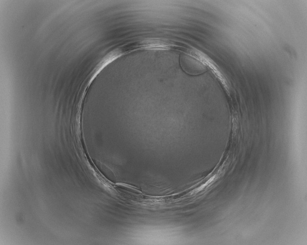 X0000116281194200912141342