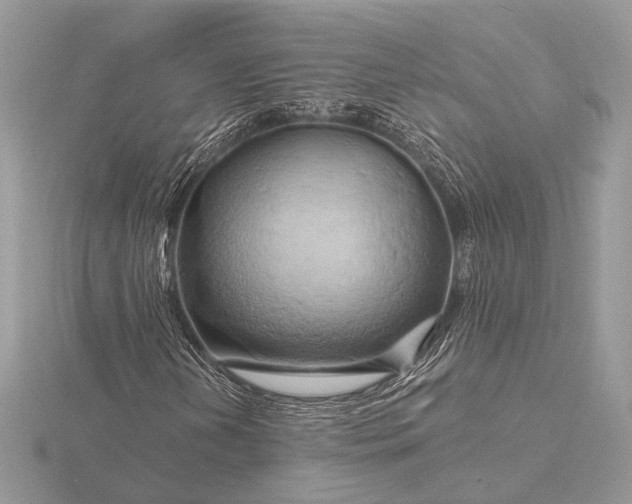 X0000116281202200912141342