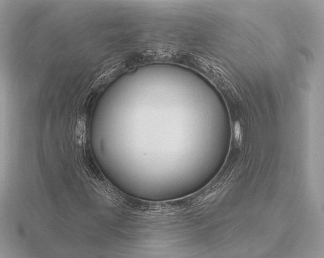 X0000116281203200912141342