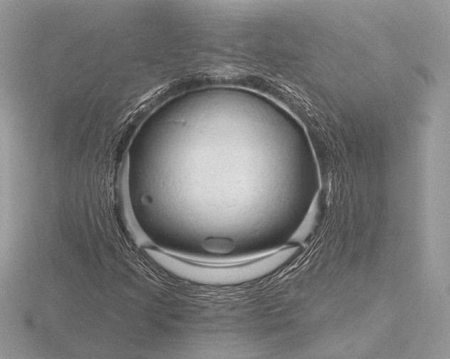 X0000116281205200912141342