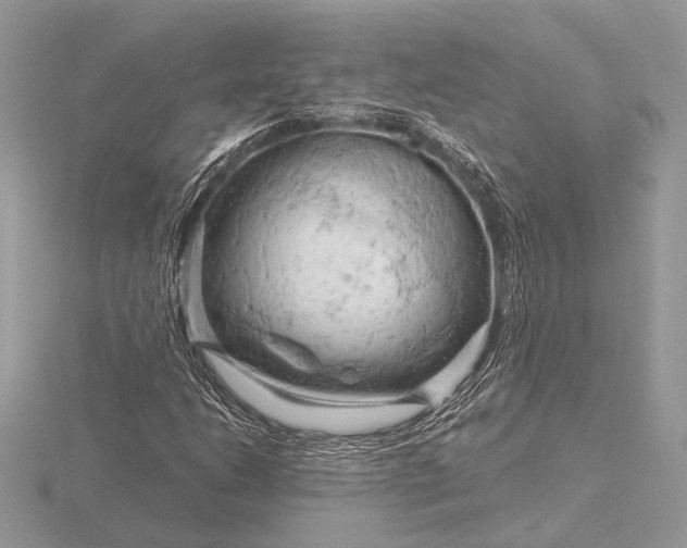 X0000116281206200912141342