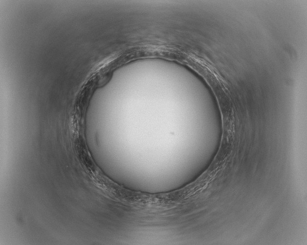 X0000116281207200912141342