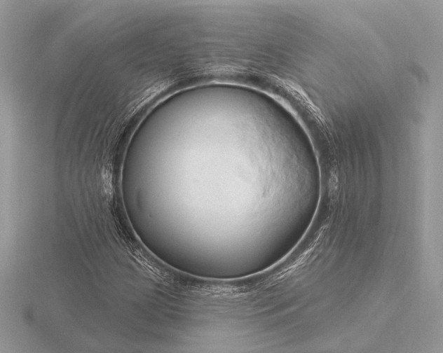 X0000116281209200912141342