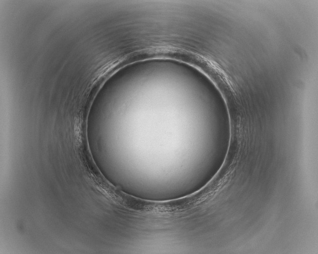 X0000116281217200912141342