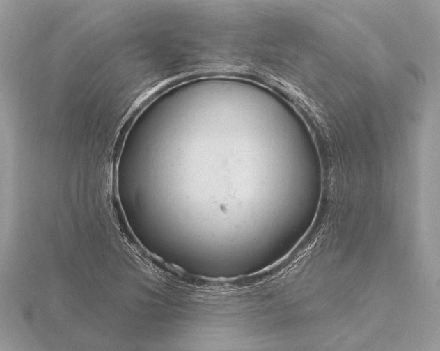 X0000116281220200912141342