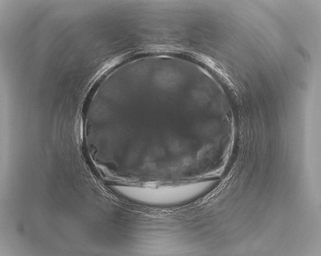 X0000116281221200912141342