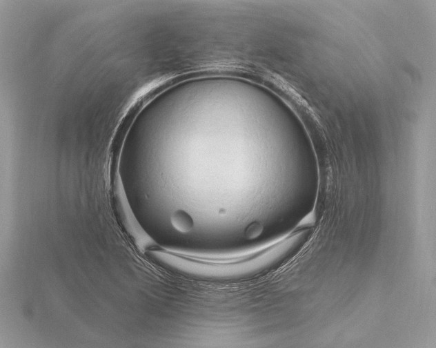 X0000116281222200912141342