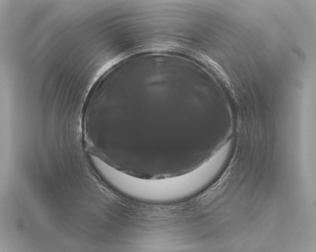 X0000116281226200912141342