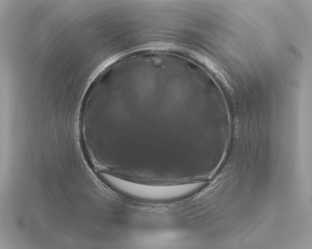 X0000116281229200912141342