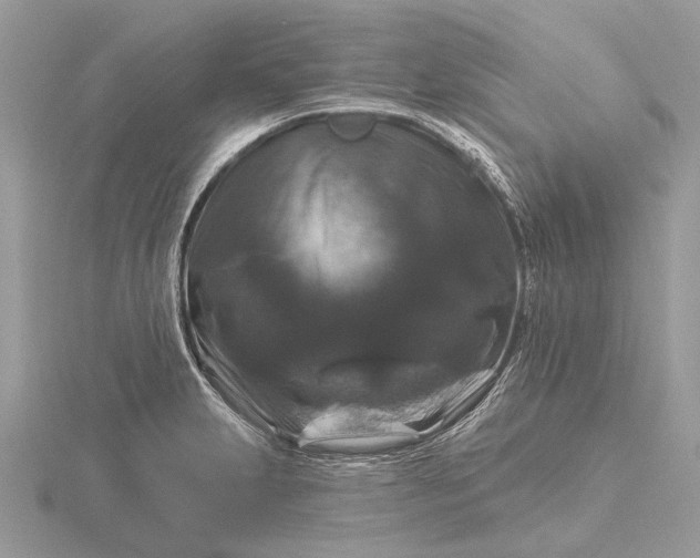 X0000116281231200912141342