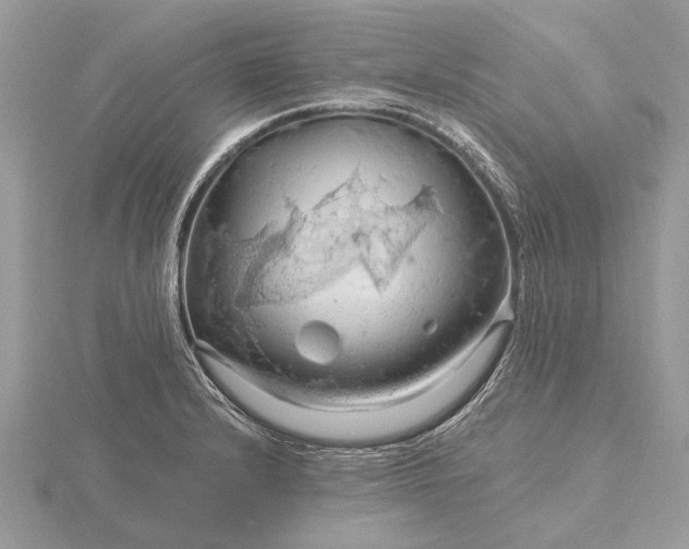 X0000116281232200912141342