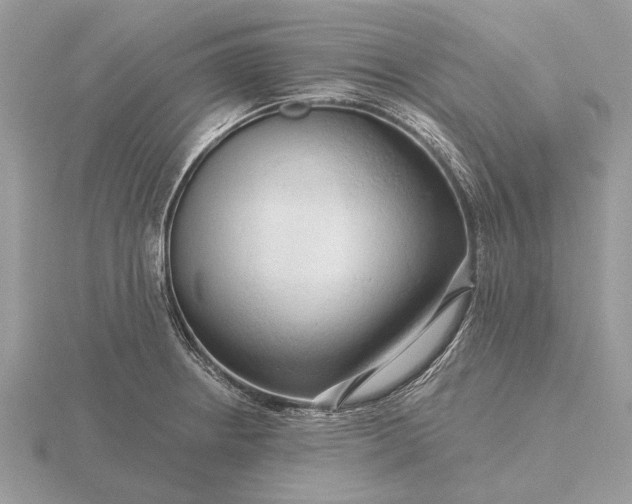 X0000116281234200912141342