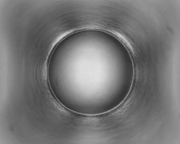 X0000116281238200912141342