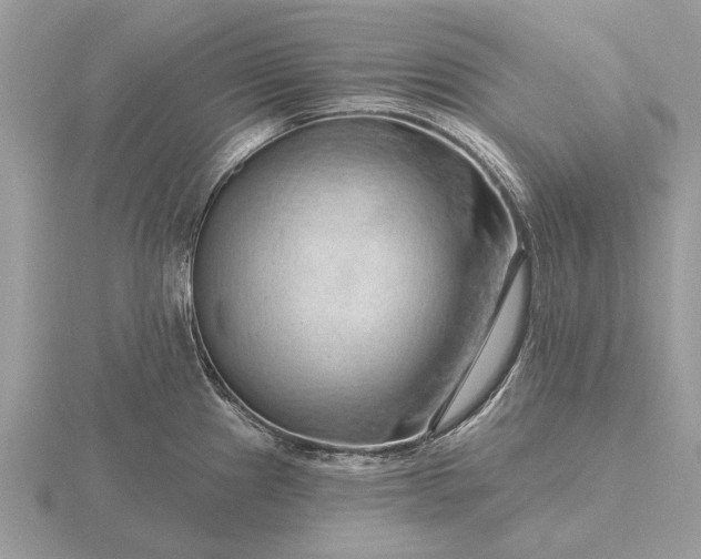 X0000116281241200912141342