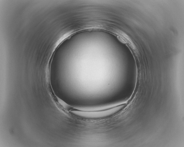 X0000116281242200912141342