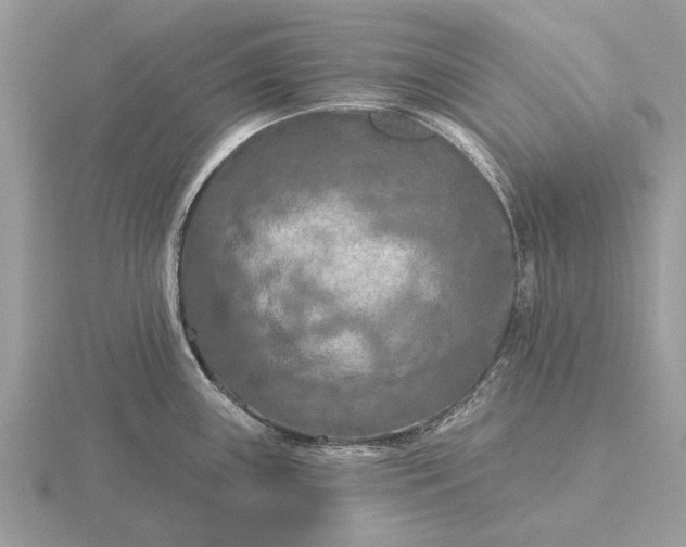 X0000116281243200912141342