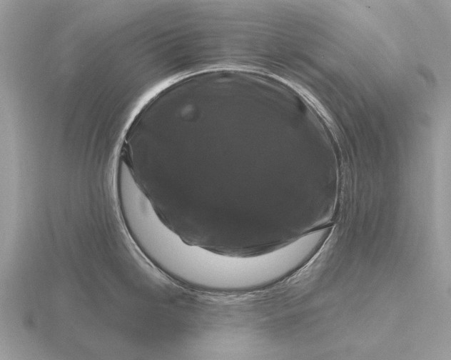 X0000116281246200912141342