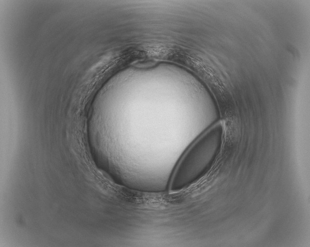 X0000116281249200912141341