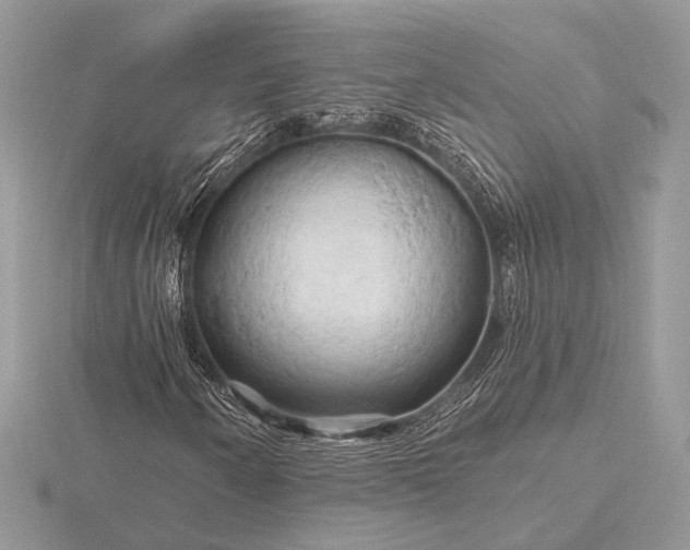 X0000116281250200912141341
