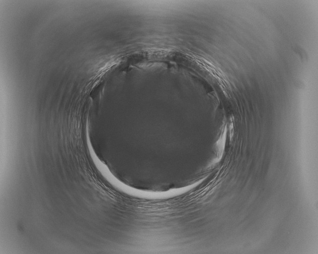 X0000116281252200912141341