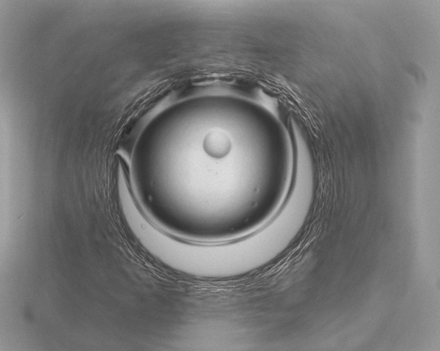 X0000116281253200912141341
