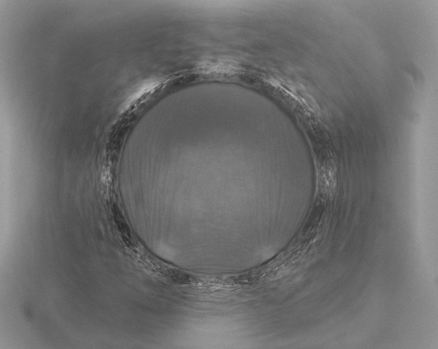 X0000116281254200912141341