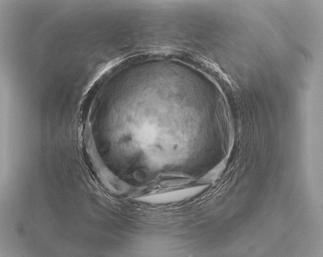 X0000116281256200912141341