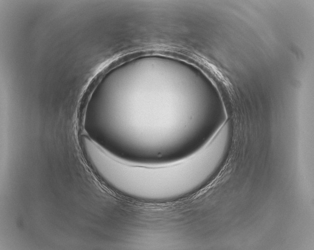X0000116281264200912141341