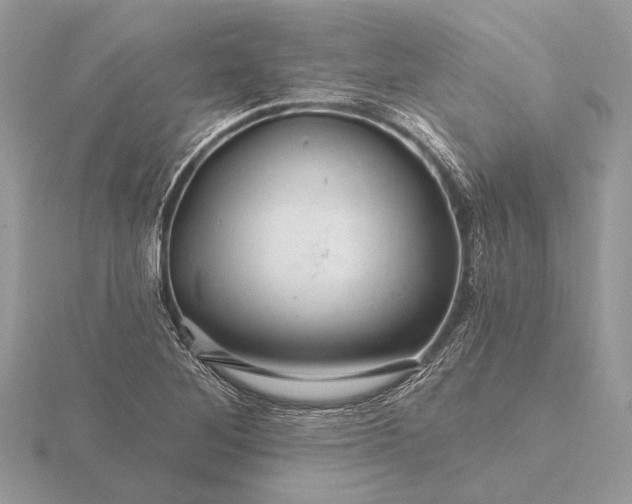 X0000116281268200912141341