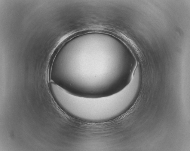 X0000116281272200912141341