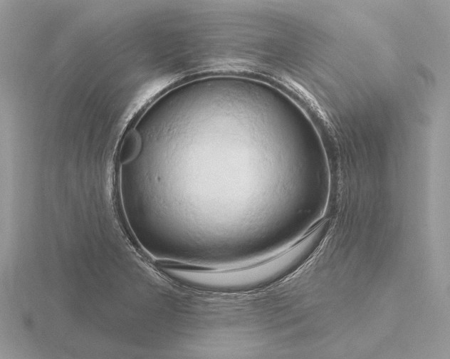 X0000116281277200912141341
