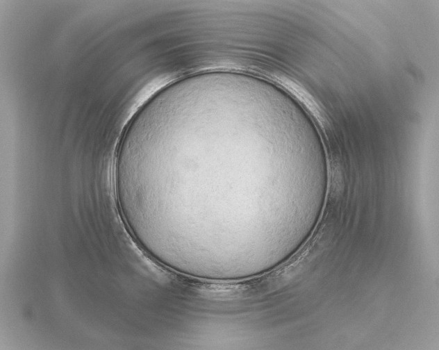 X0000116281290200912141341