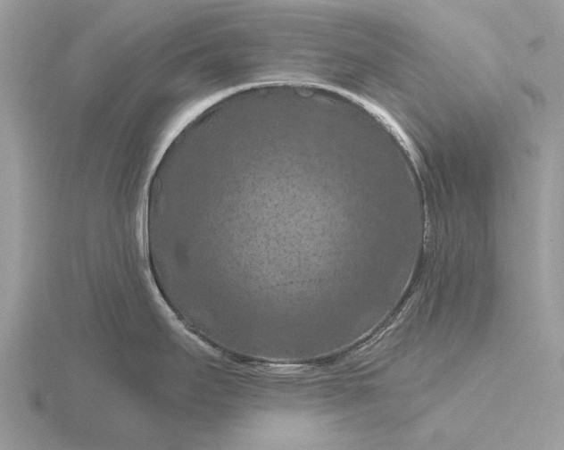 X0000116281295200912141341