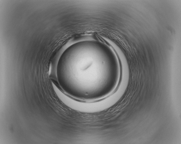 X0000116281298200912141340