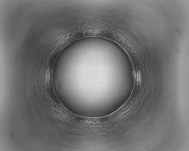 X0000116281299200912141340