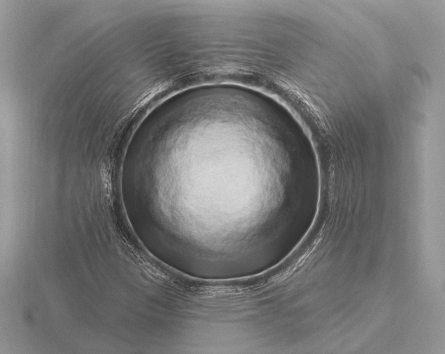 X0000116281305200912141340