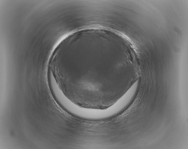 X0000116281326200912141341