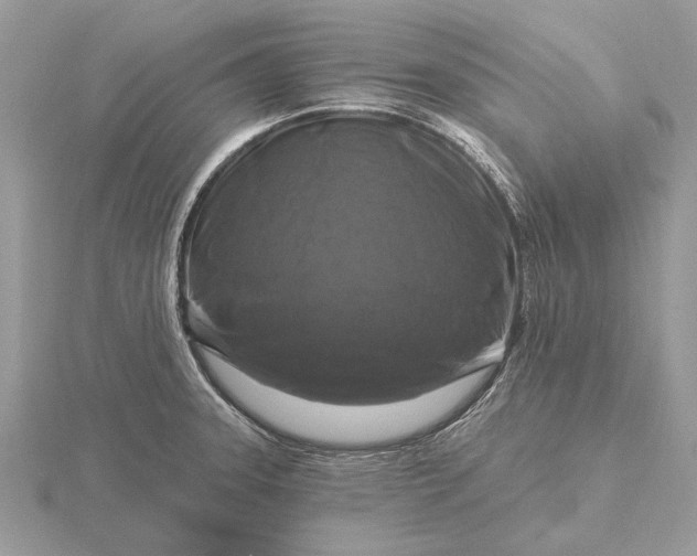 X0000116281331200912141341