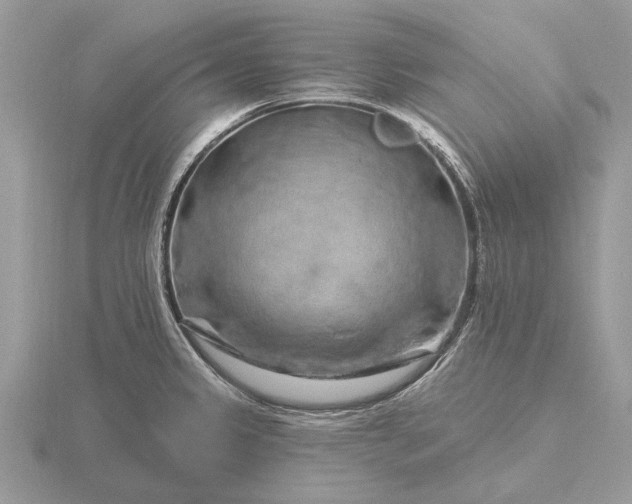 X0000116281333200912141341