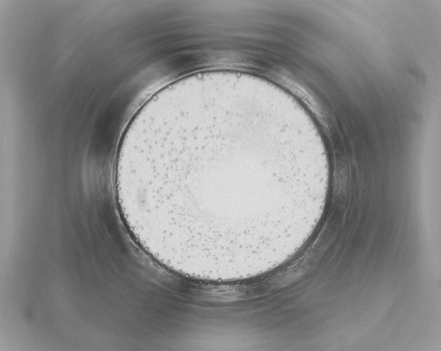 X0000116281338200912141341