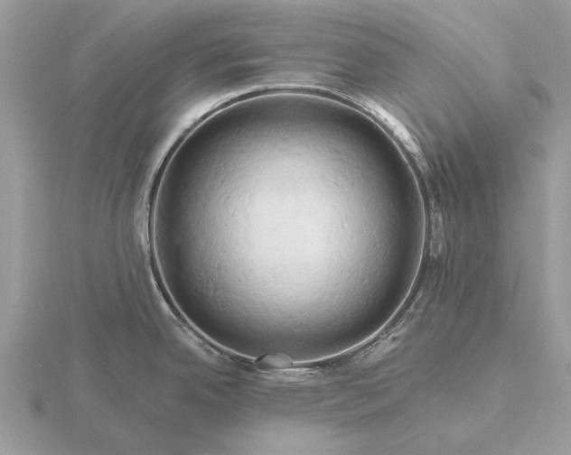 X0000116281342200912141341